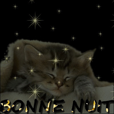 Résultat de recherche d'images pour "bonne nuit chat gif"