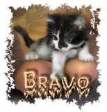 Bravo
