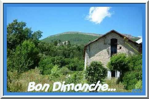 Bon dimanche