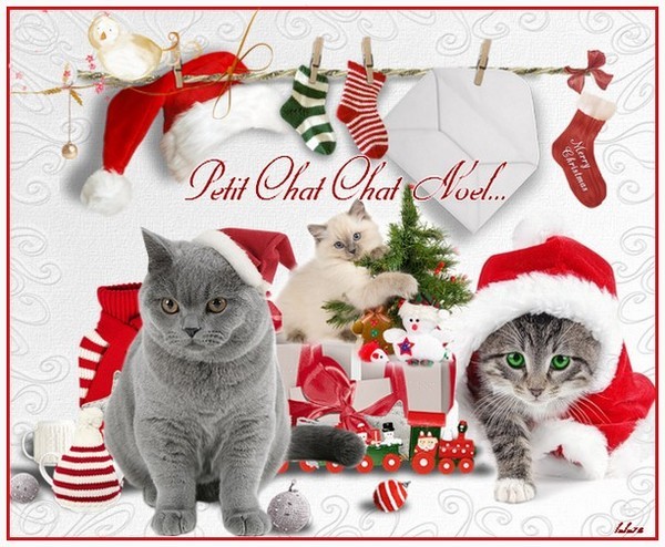 Petit Chat Chat Noël